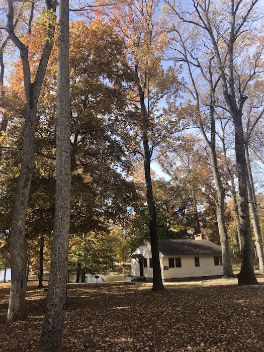 Meeman-Shelby Forest Cabins Picture 4