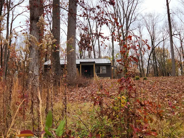 Meeman-Shelby Forest Cabins Picture 6