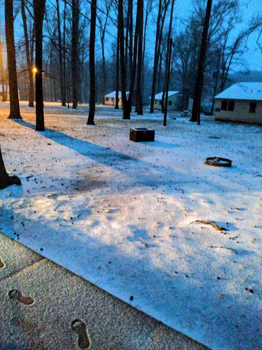 Meeman-Shelby Forest Cabins Picture 8