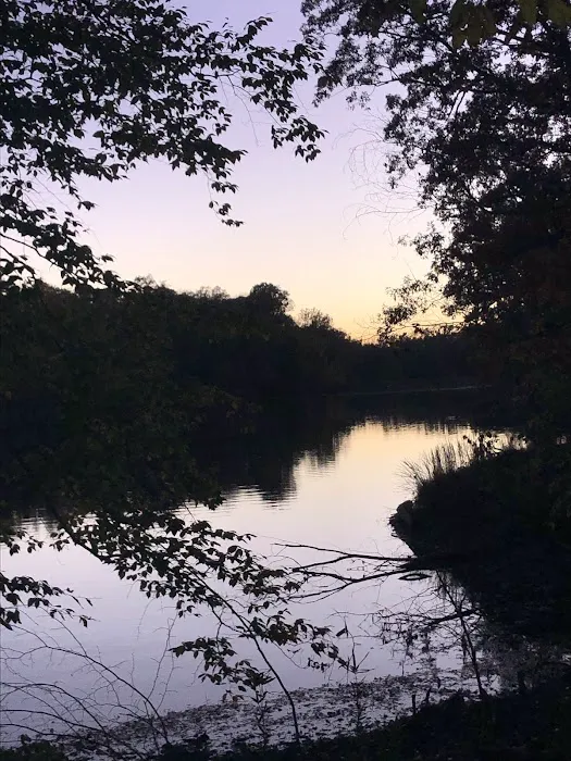 Meeman-Shelby Forest Cabins Picture 10