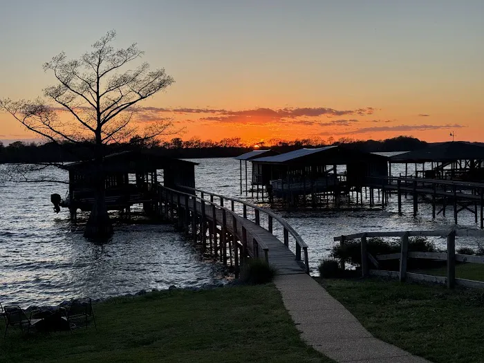 The Duckling Picture 4