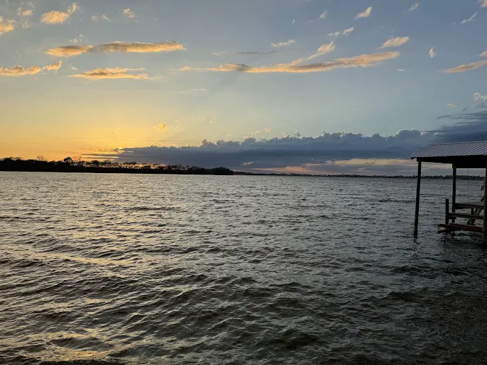 The Duckling Picture 2