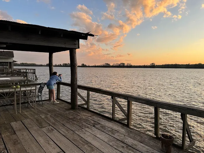 The Duckling Picture 1