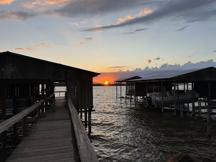 The Duckling Picture 5