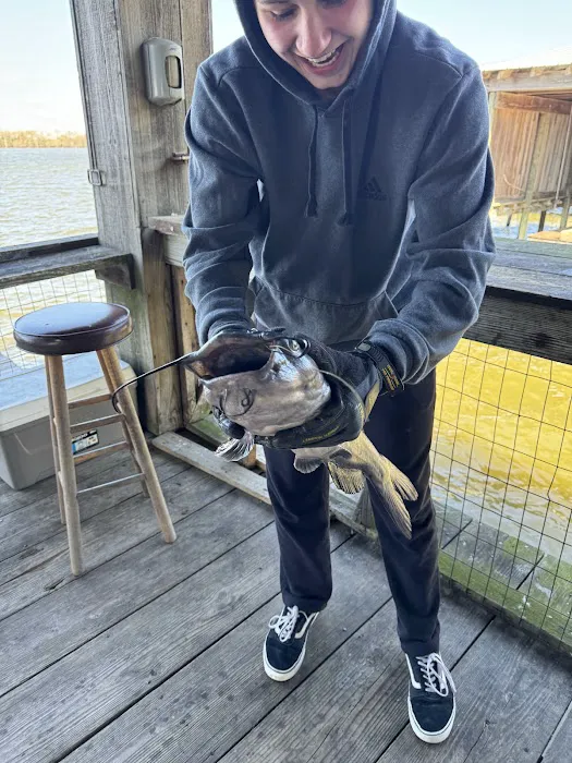 The Duckling Picture 7