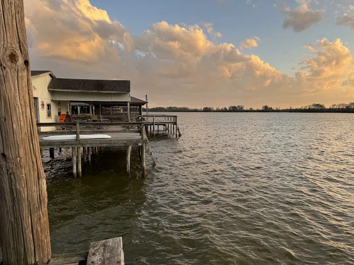 The Duckling Picture 9