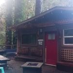 Cabin in the woods