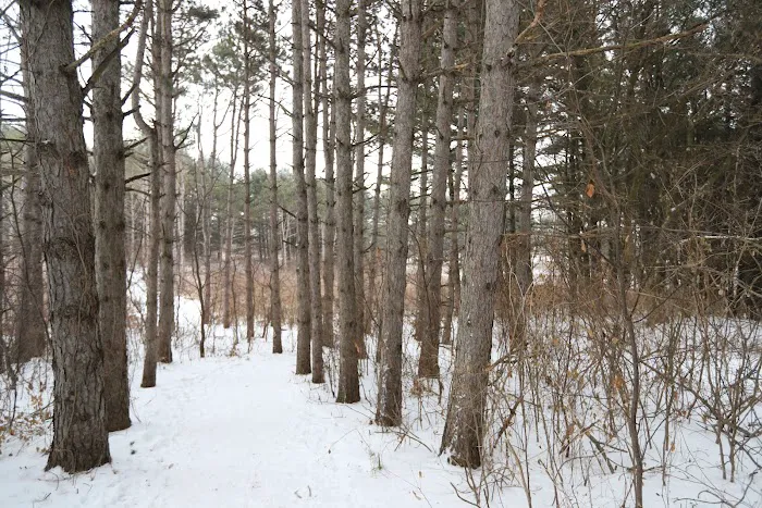 Whitetail Woods Camper Cabins Picture 4