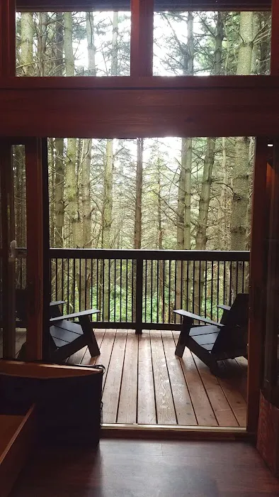 Whitetail Woods Camper Cabins Picture 6