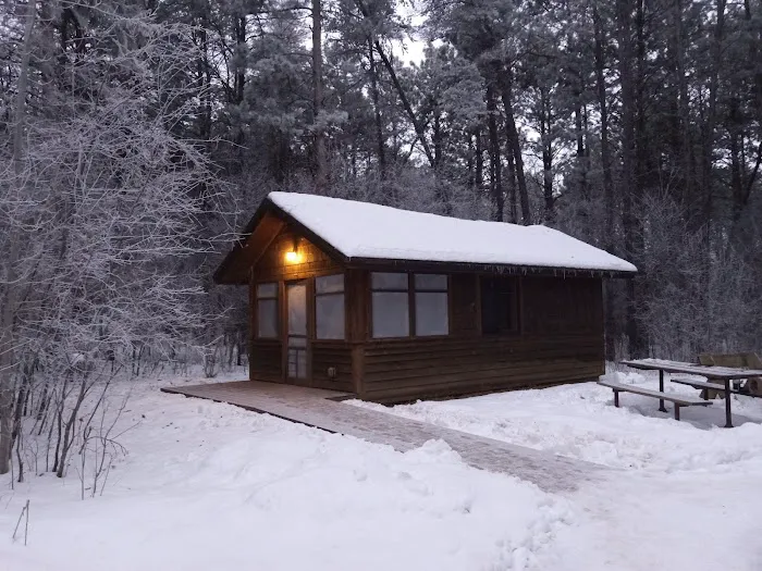BLUEBIRD CAMPER CABIN Picture 1