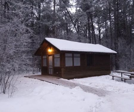BLUEBIRD CAMPER CABIN