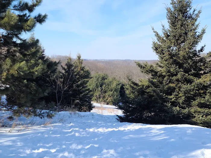 Swanson Lodge Picture 6