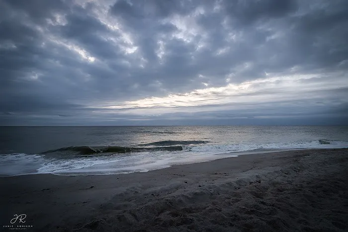 Amelia Beach Picture 5