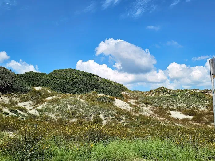 Amelia Beach Picture 9