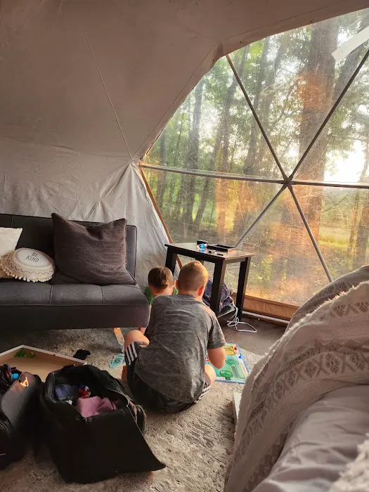 The Hornets Nest Picture 3