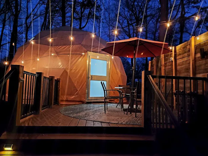 The Hornets Nest Picture 2