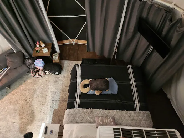 The Hornets Nest Picture 5