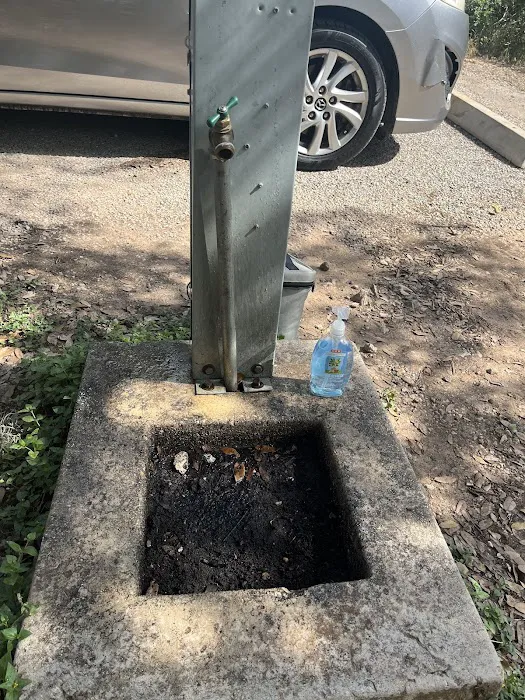 McKinney Falls State Park Campground Picture 1