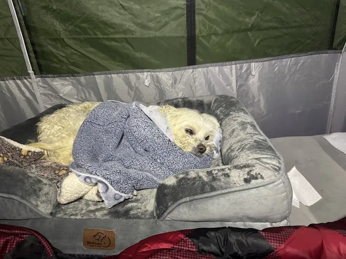 McKinney Falls State Park Campground Picture 9