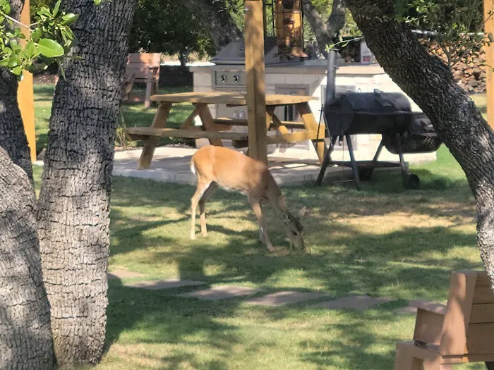 Julies Cabins Picture 9