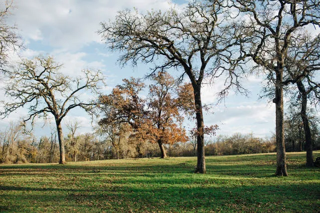 Green Acres Glamping ATX Picture 6