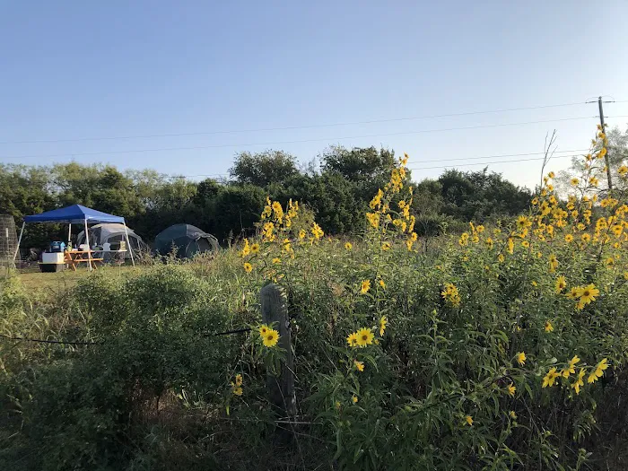 Texas State University Camp Picture 5