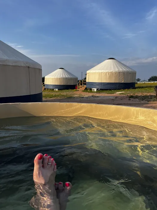 Johnny Yurts Picture 8