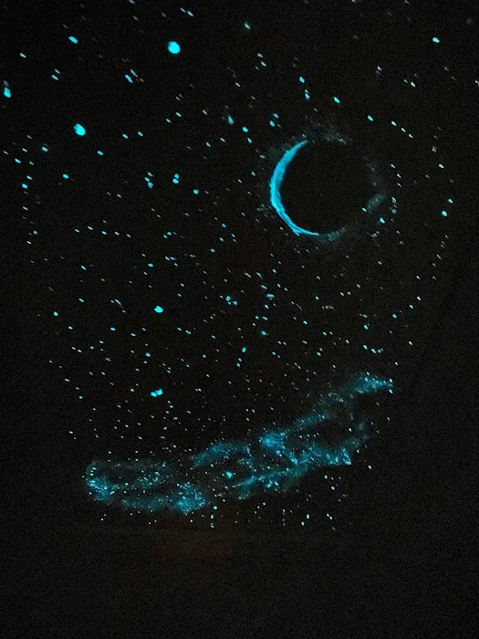 Bunk Haus Lodging & RV Park Picture 9