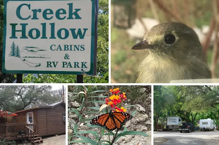 Creek Hollow Cabins & RV Park Picture 6