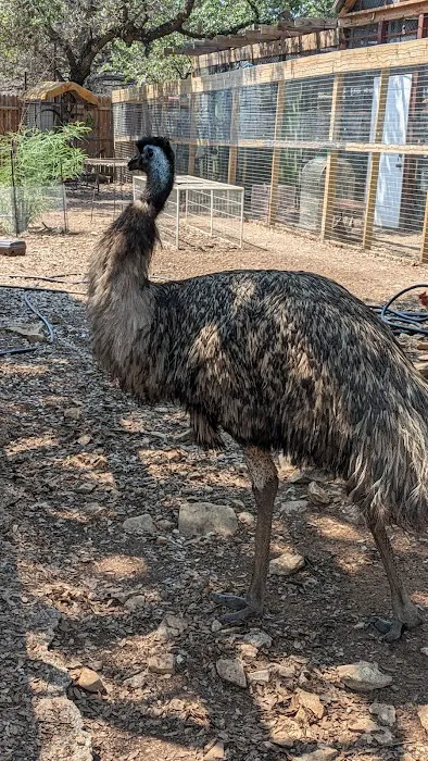 Home Away Ranch Picture 9