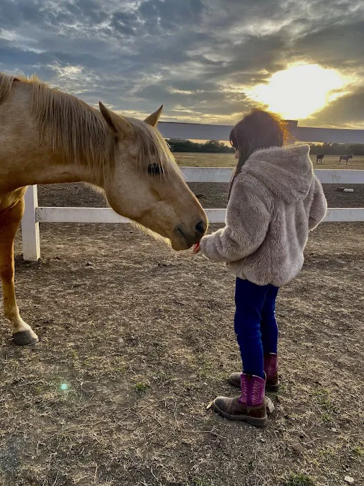 Home Away Ranch Picture 10