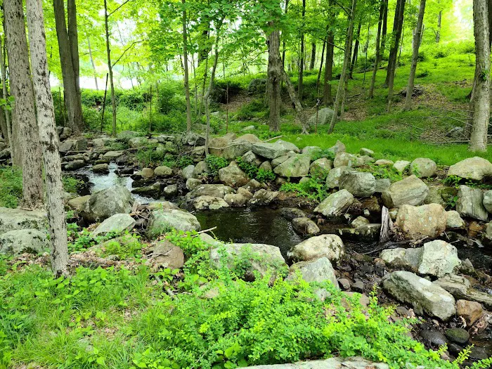 Sebago Cabin Camp Picture 10