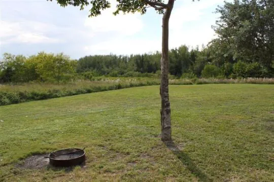 Cabin 3 on PRIM Loop in Oleta River State Park Picture 9