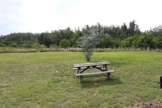 Cabin 2 on PRIM Loop in Oleta River State Park Picture 4