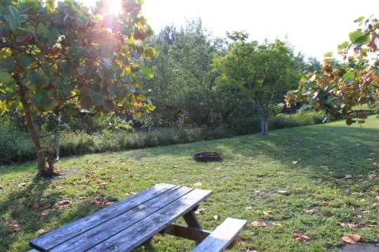 Cabin 1 on PRIM Loop in Oleta River State Park Picture 7