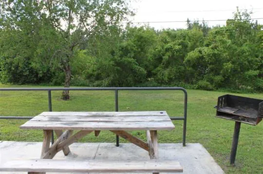 Cabin 1 on PRIM Loop in Oleta River State Park Picture 4