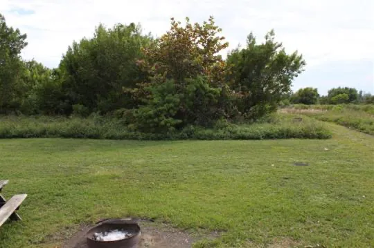 Cabin 1 on PRIM Loop in Oleta River State Park Picture 5