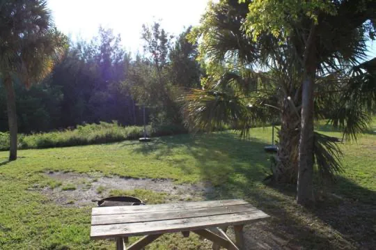 Cabin 1 on PRIM Loop in Oleta River State Park Picture 9
