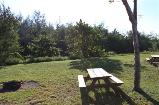 Cabin 1 on PRIM Loop in Oleta River State Park Picture 10