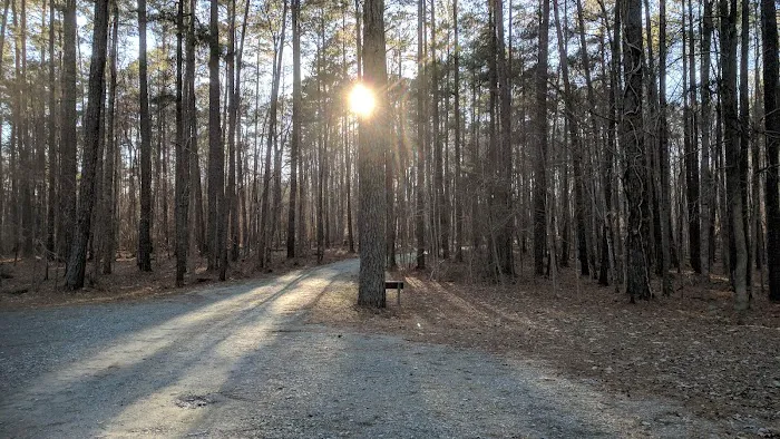 Camp Lapihio Picture 4