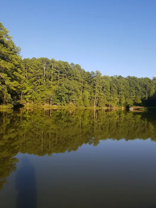 Camp Lapihio Picture 5