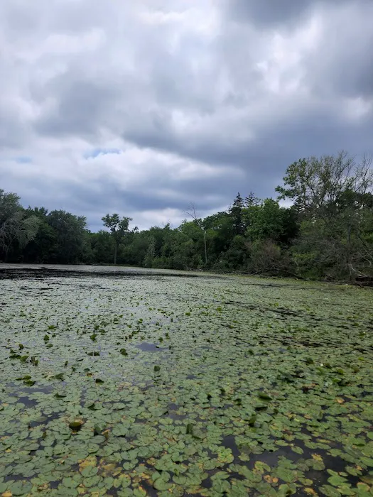 Merkle Cabin at Spring Valley Picture 2