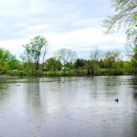 Merkle Cabin at Spring Valley ico