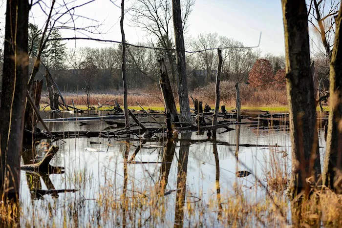 Merkle Cabin at Spring Valley Picture 5