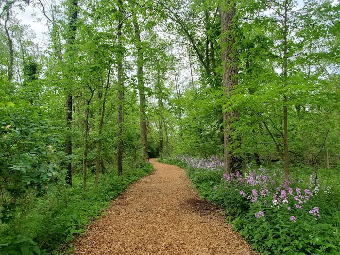 Merkle Cabin at Spring Valley Picture 4