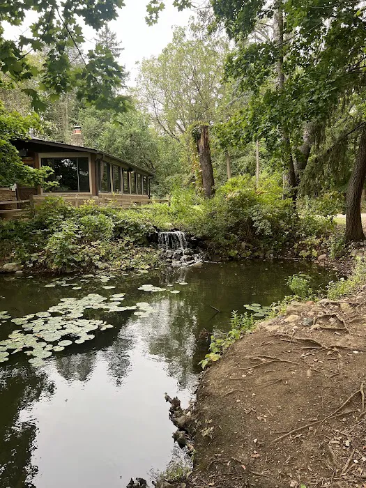 Merkle Cabin at Spring Valley Picture 6