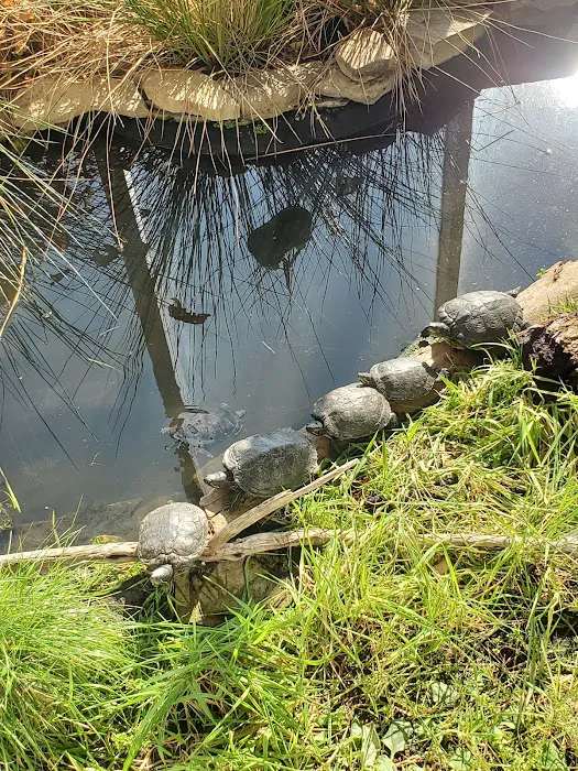 Merkle Cabin at Spring Valley Picture 8