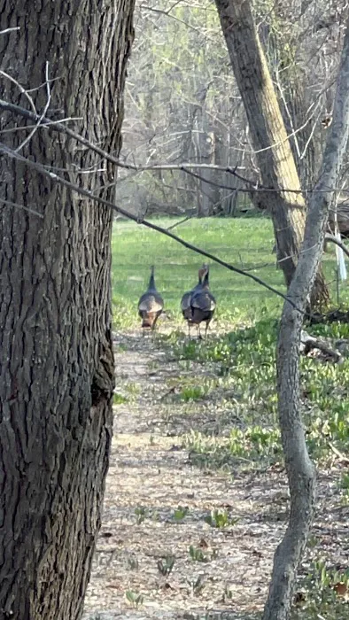 Trestler Trails Picture 4