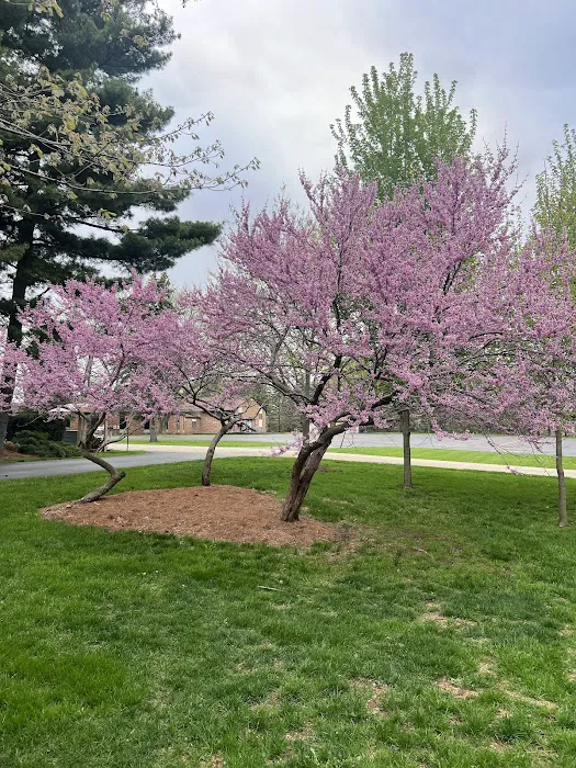 Trestler Trails Picture 6