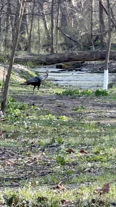 Trestler Trails Picture 8